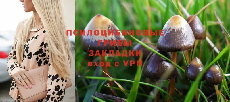 Галлюциногенные грибы Magic Shrooms  Алатырь 